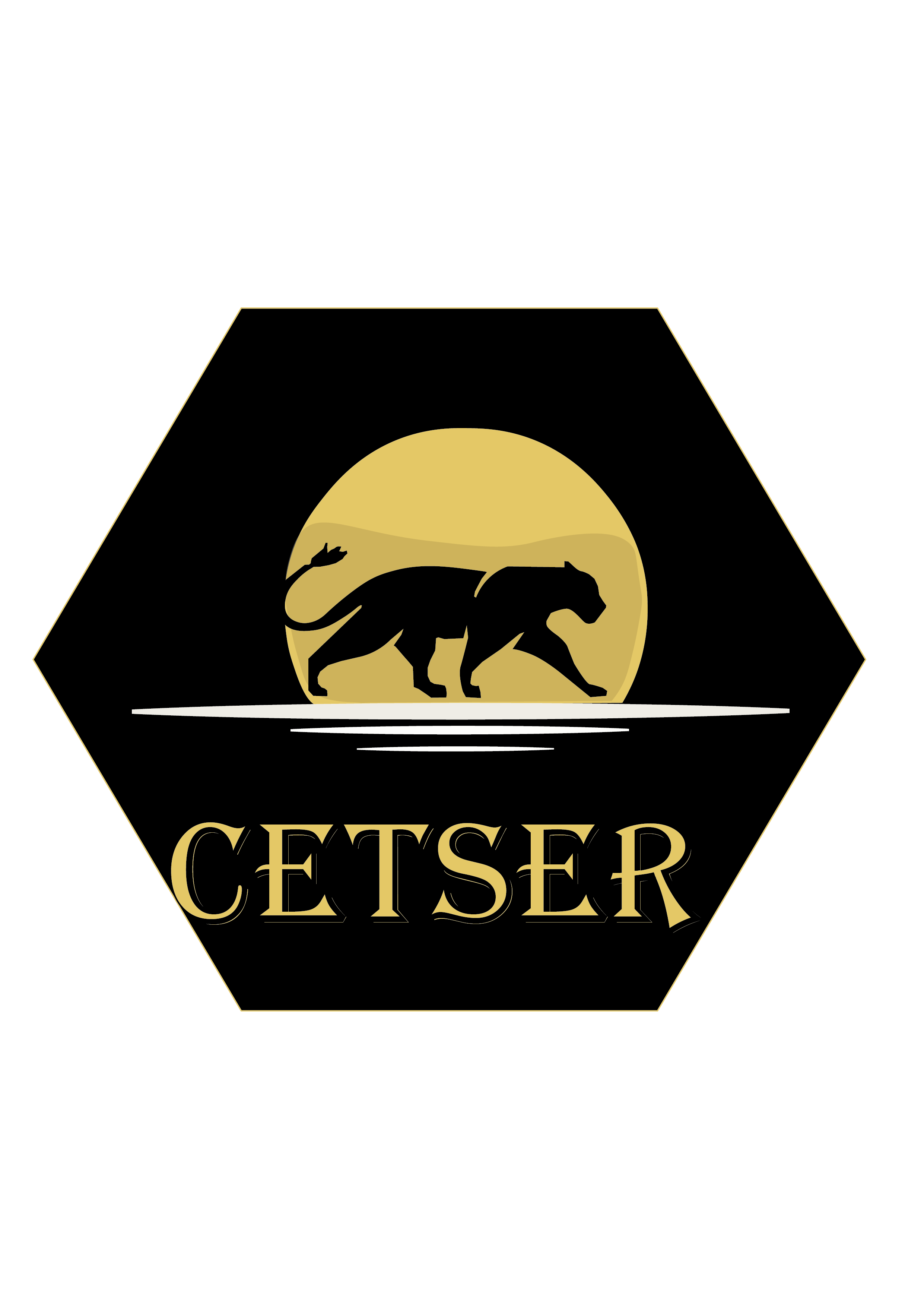 Cetser İnşaat